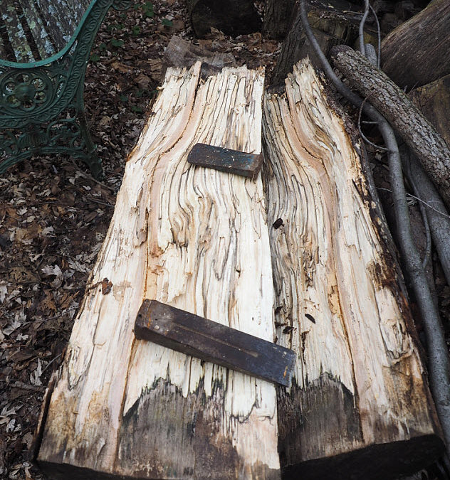 There’s no bad wood…